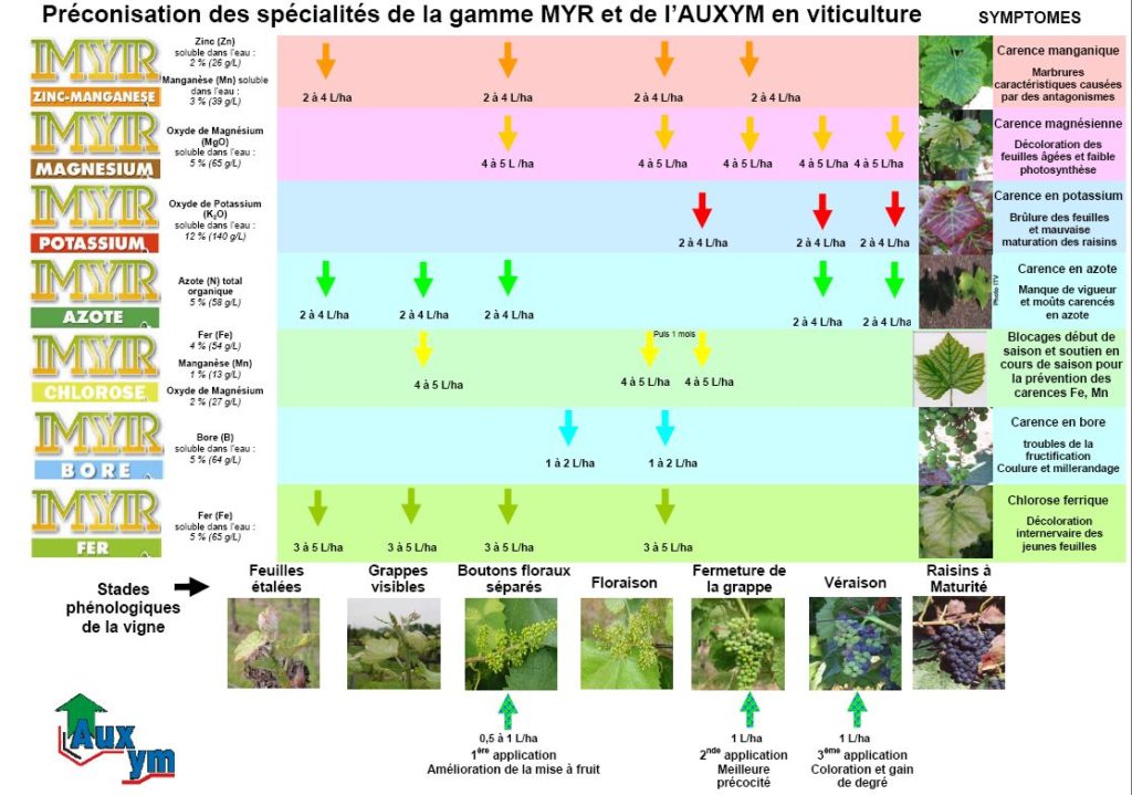 Calendrier De Traitement De L Olivier 